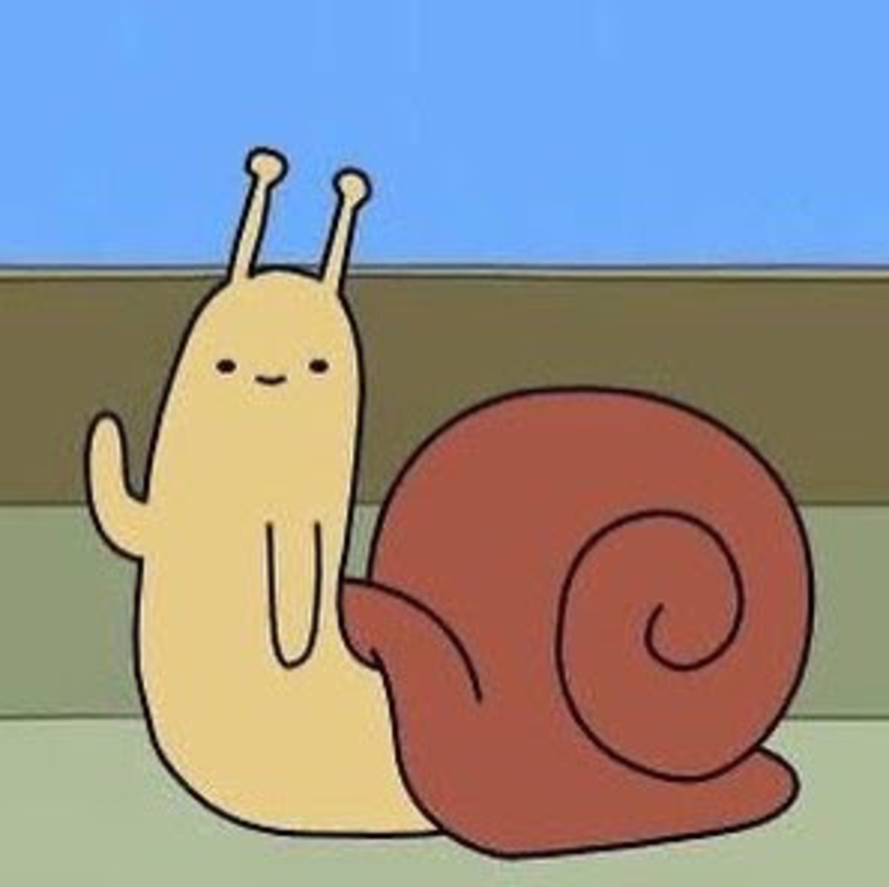 Meet your Posher, Lillian